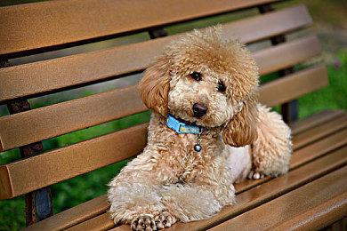 《魔兽世界》总监解释一口气公布三个资料片原因